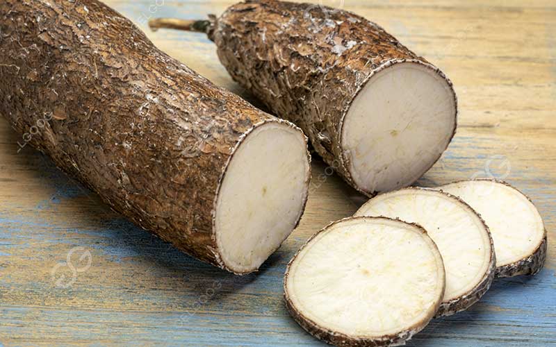 cassava chips cutting machine in sri lanka